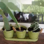 Peris Apartamento *